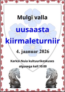Mulgi valla uusaasta kiirmaleturniir